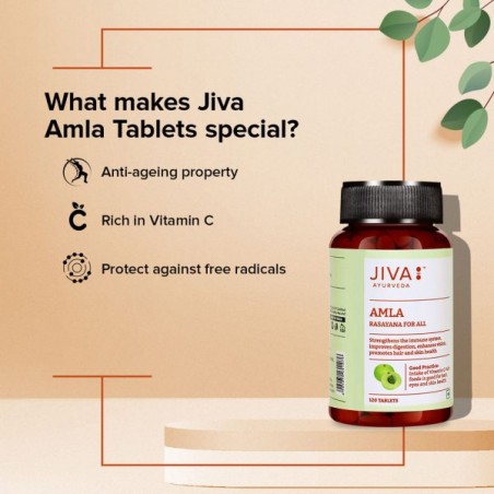 Amla, Jiva Ayurveda, 120 tabletes