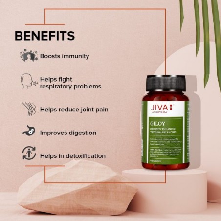 Гилой Гудучи, Jiva Ayurveda, 60 капсул