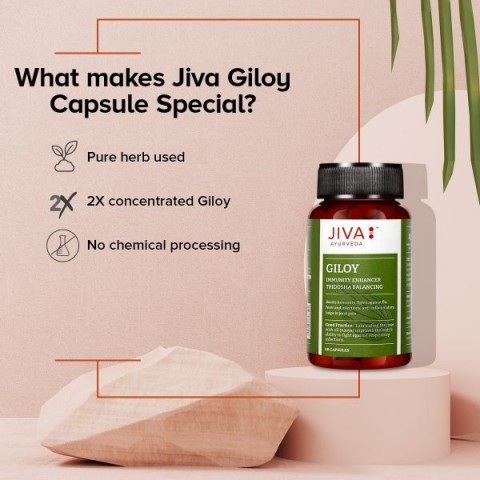 Giloy Guduchi, Jiva Ayurveda, 60 capsules