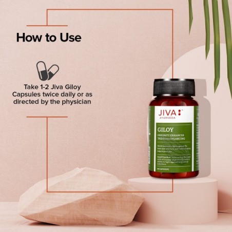Гилой Гудучи, Jiva Ayurveda, 60 капсул