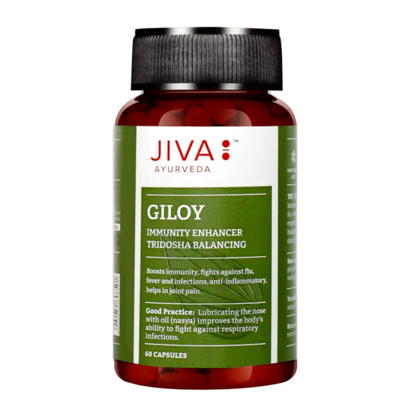 Гилой Гудучи, Jiva Ayurveda, 60 капсул Гилой Гудучи, Jiva Ayurveda, 60 капсул