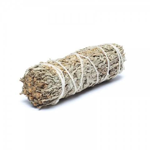 Blue sage Shasta, S bundle, 2 pcs.