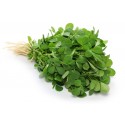 Fenugreek, organiska, Planet Ayurveda, 60 kapsulas