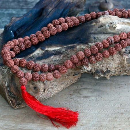 Rudrakša kaklarota Mala, brūna, 108 pērlītes ar bārkstīm