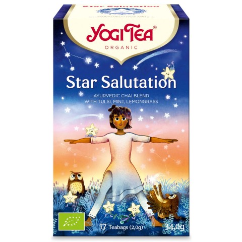 Garšvielu tēja Star Salutation, Yogi Tea, 17 paciņas