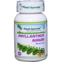 Food supplement Phyllanthus Niruri, Planet Ayurveda, organic, 60 capsules