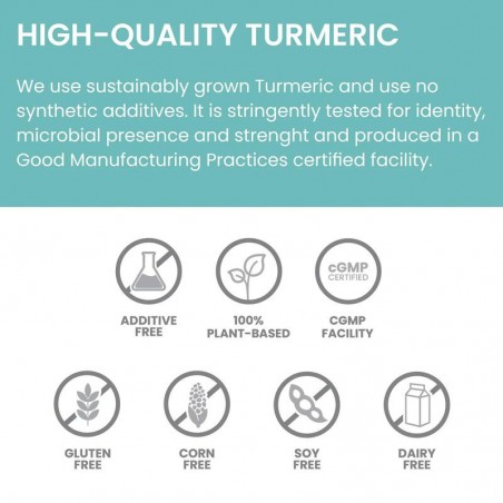 Kurkuma Turmeric 95 Organic, Himalaya, 60 kapsulas