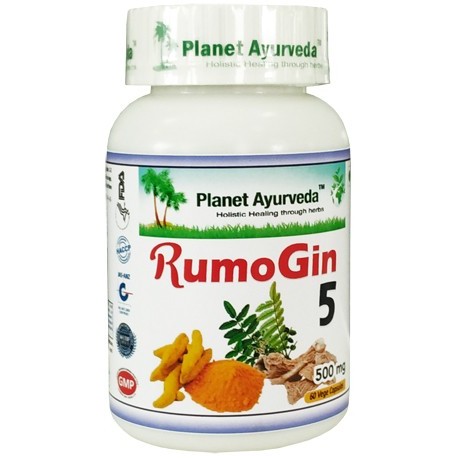 Food supplement RumoGin 5, Planet Ayurveda, organic, 60 capsules