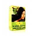 Dry hair anti-dandruff shampoo powder Kalpi Tone, Hesh, 100g