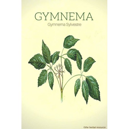 Uztura bagātinātājs Gymnema Sylvestrae, Planet Ayurveda, 60 kapsulas