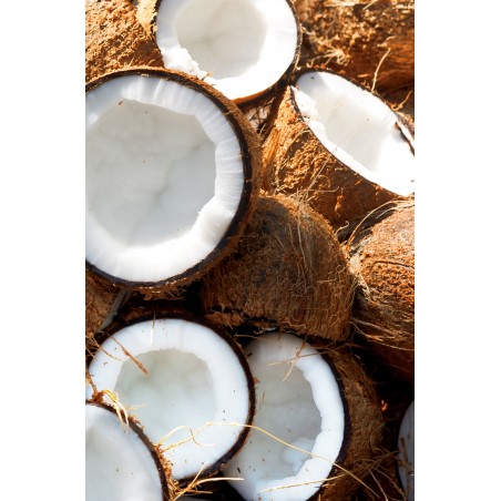 Ajūrvēdas matu eliksīrs kondicionieris Coconut Shikakai, Khadi Naturprodukte, 200 ml
