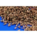 Ajwain ķimeņu sēklas, TRS, 100g