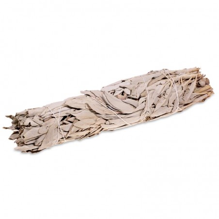 White sage Smudge, L bundle, 90 g