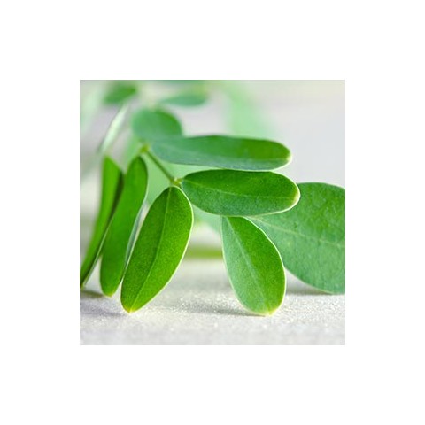 Шампунь для волос Moringa & Neem, Аюми, 250 мл